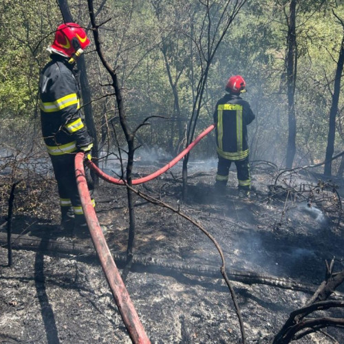 Incendiu de vegetație în Mureș pe o suprafață de 2 hectare