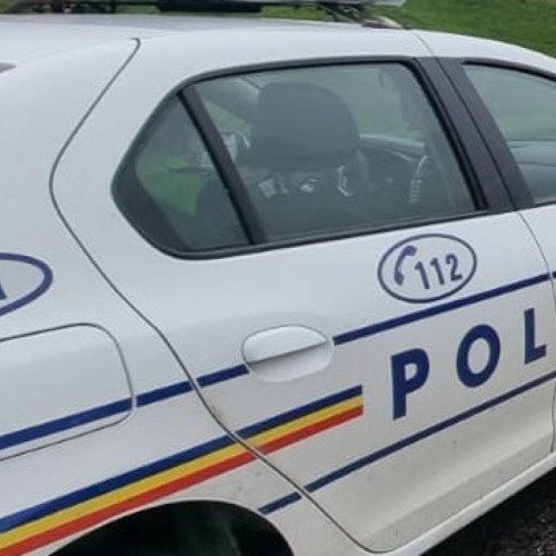 Botoșanean sancționat la Suceava pentru transport ilegal de lemn