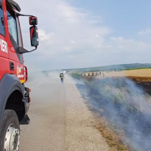 Incendiu de vegetație în localitatea Sâncraiu, județul Alba