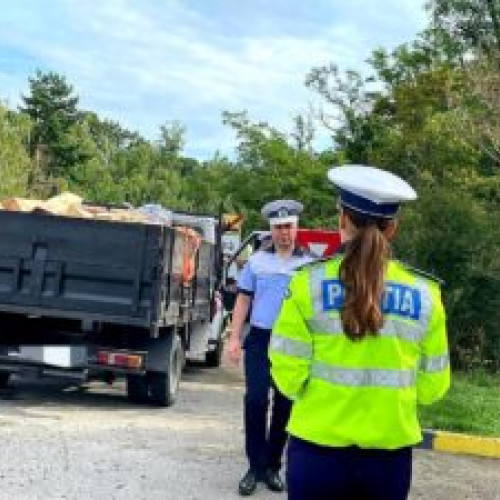 Acțiune de amploare a poliției în domeniul silvic în județul Botoșani