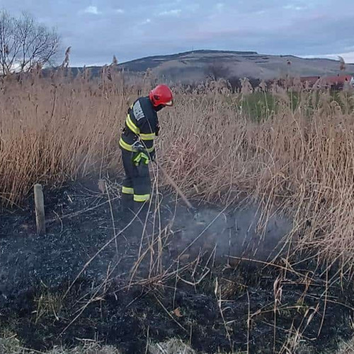 Incendiu de vegetație uscată în municipiul Sebeș