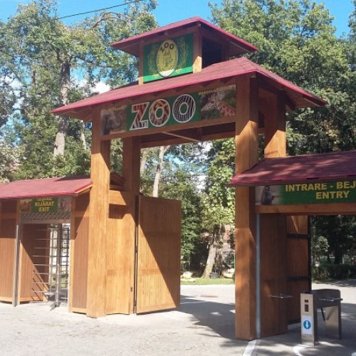 Târgu Mureș: Nou padoc pentru cerbii lopătari la Grădina Zoologică