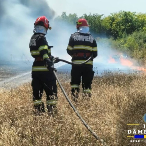 Incendiu de vegetație uscată în localitatea Mătăsaru