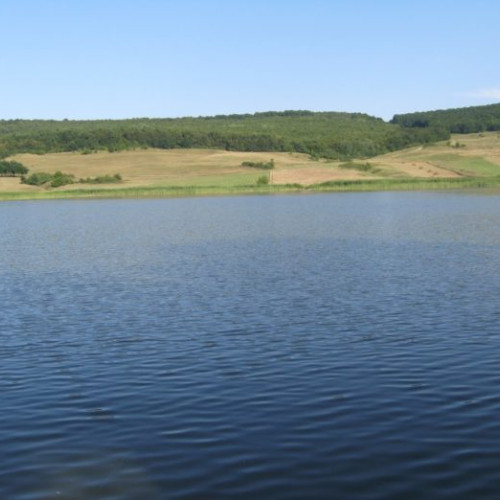 Problemele pisciculturii din România: seceta, păsările și lipsa de specialiști