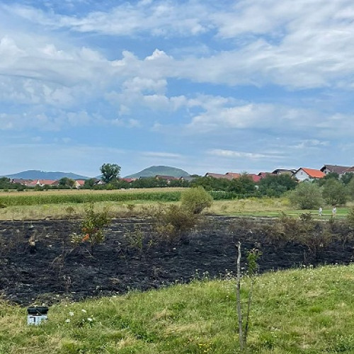 Incendiu de vegetație în Boinesti: Pompierii intervin rapid