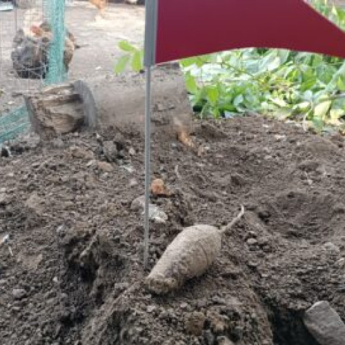 Bomba găsită în grădină, alertează autoritățile din Tudora