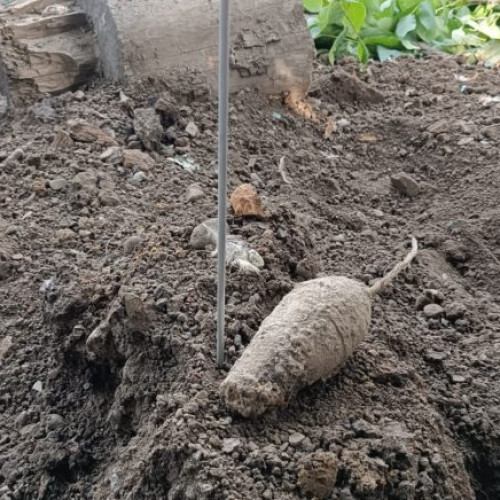 Bomba descoperită în grădina unui bărbat din Tudora