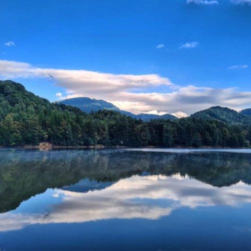 Descoperire macabră în Maramureș: un bărbat găsit mort pe malul râului Tisa