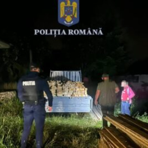 O tânără autoutilitară, oprită de poliție pentru transport ilegal de material lemnos