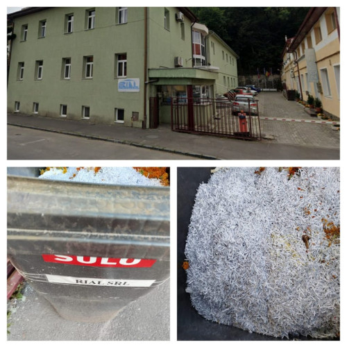 Problemele de la RIAL discutate în ședința Consiliului Local