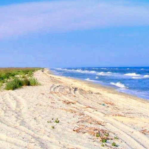 Alerte de poluare pe plajele din Vadu și Corbu