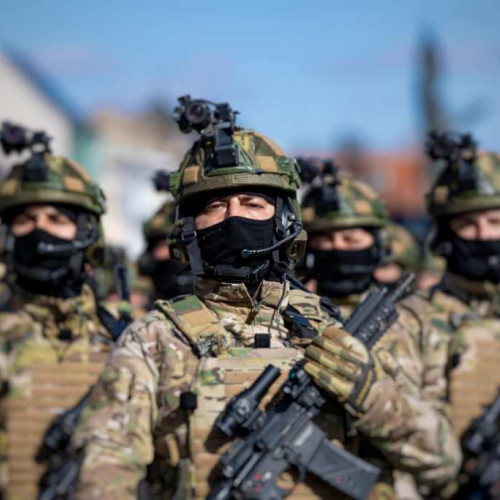 Ministerul Apărării Naționale caută 40 de noi membri pentru trupele speciale