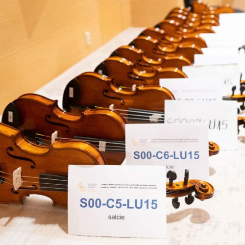 Universitatea Transilvania din Brașov va găzdui prima conferință internațională despre cercetarea viorilor