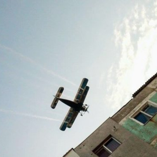 Dezinsectie aeriana in Buzau: RER SUD va efectua tratamente in perioada 8-9 august 2024