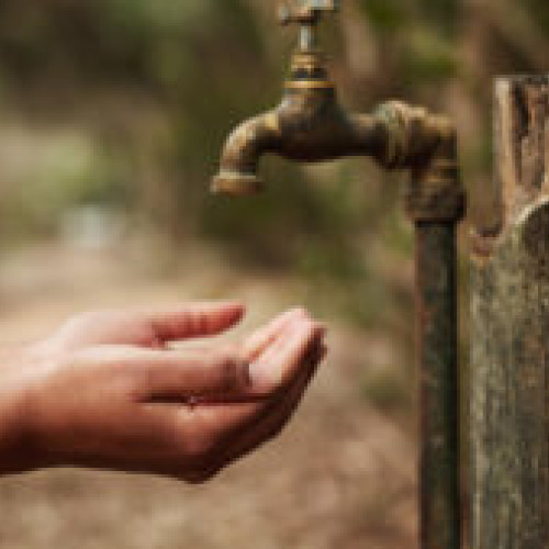 Botoșani, cel mai afectat județ de secetă din România