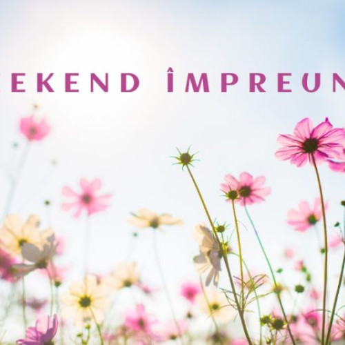 Animalele neprietenoase și poveștile copiilor la Școala "Omega"