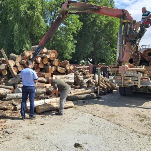 Acțiuni de combatere a delictelor silvice: 24 de sancțiuni aplicate și 3 dosare penale deschise