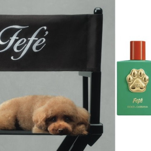 Dolce &amp; Gabbana lansează parfum pentru câini la prețul de 99 de euro