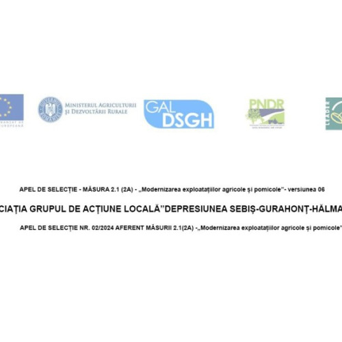 Apel de selecție pentru fonduri nerambursabile în cadrul GAL "Depresiunea Sebis-Gurahont-Halmagiu"