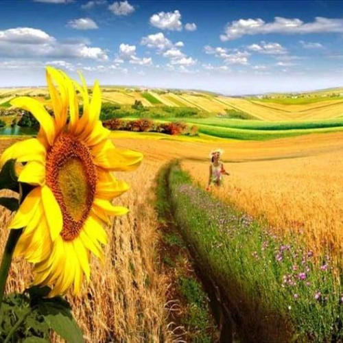 Temperaturi racoroase în Dâmbovița, dar canicula revine