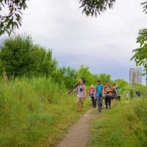 Vara Verde în Văcărești: Activități pentru toată familia în august