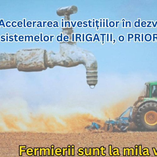 Seceta afectează grav agricultura românească