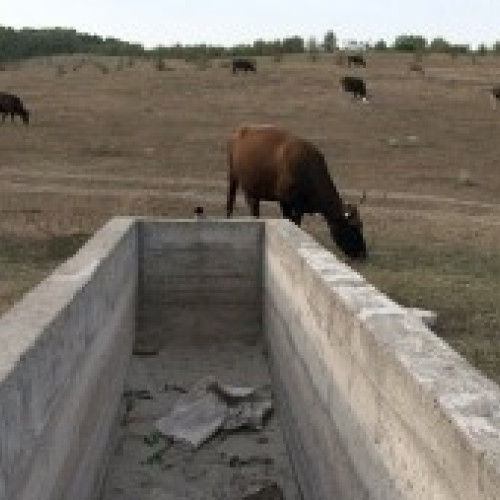 Alimentarea cu apă a 421 de localități din România, afectată de restricții