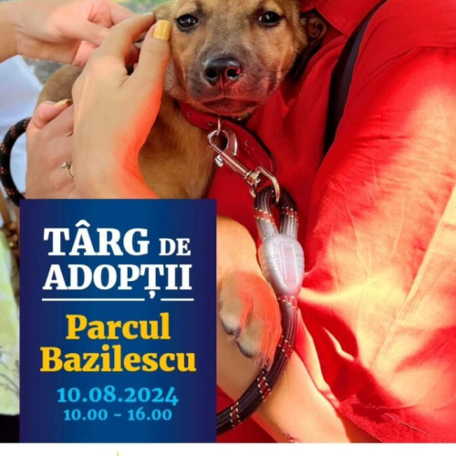 Târg de adopții pentru căței în Parcul Bazilescu