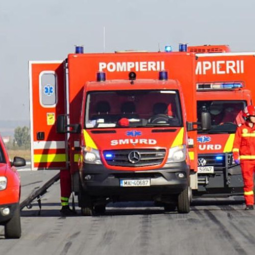 Intervenții semnificative ale salvatorilor din Bacău în luna iulie