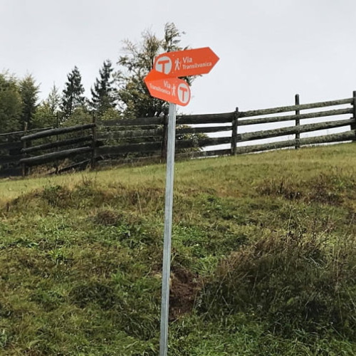 Jurnalistii BBC explora Via Transilvanica din Romania