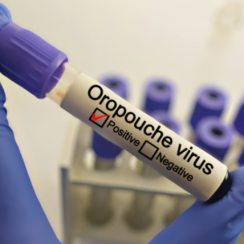 Alerta epidemiologică privind virusul Oropouche