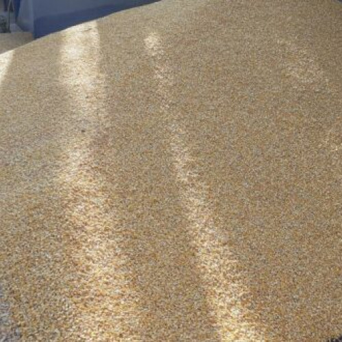 APIA a publicat raportul de activitate pentru 2023