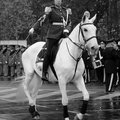 Dispariția Ritei din suita jandarmilor, o poveste emoționantă