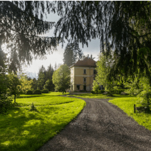 Festivalul "Music Kuriozum" aduce muzica, arta și gastronomia la Castelul Mikes din Zabala