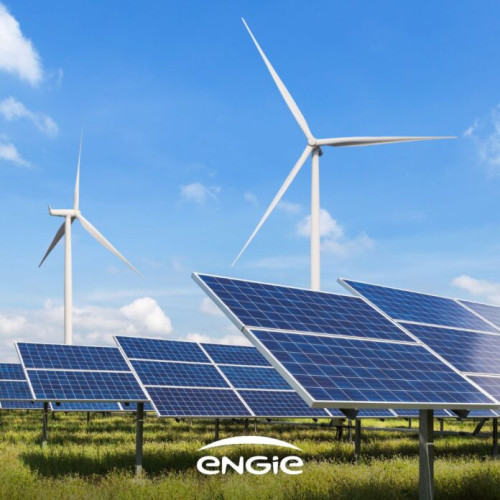 ANRE a efectuat controale la furnizorii de gaze naturale și energie electrică