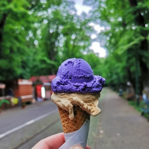 Scădere în producția de înghețată în Uniunea Europeană