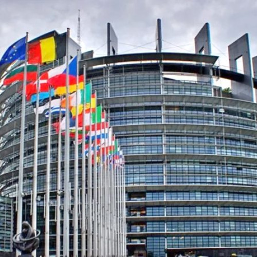 Asistenții parlamentari acreditati – coloana vertebrală a Parlamentului European