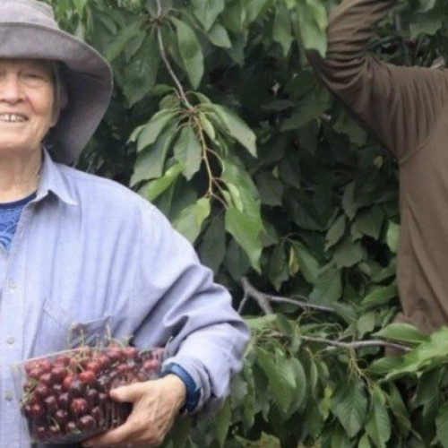 Ultima victimă identificată a atacului Hamas asupra Israelului