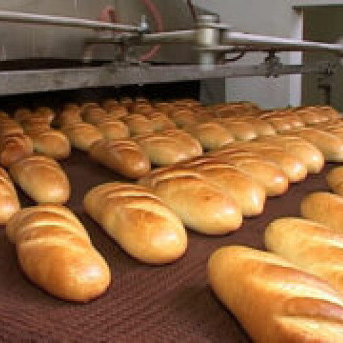 Tribunalul Botoșani deschide procedura de insolvență pentru Spicul Tisa Tudora SRL