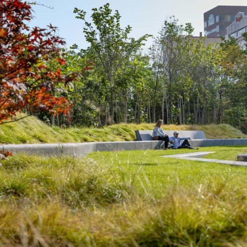 Cinci "păduri urbane" vor fi create în Alba Iulia, acoperind 6.400 mp