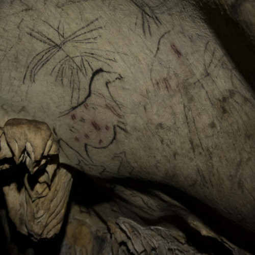 Un bărbat din Spania a deteriorat picturi rupestre pentru fotografii mai clare