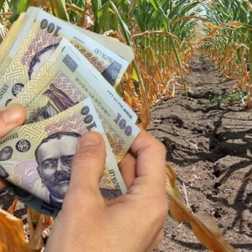 Seceta afectează 2 milioane de hectare în România, statul oferă despăgubiri