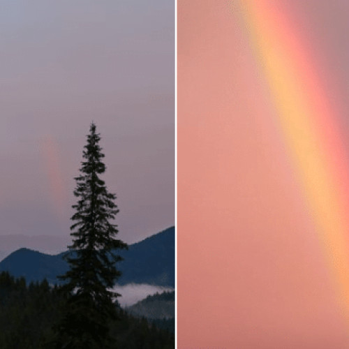 Imagini spectaculoase în Parcul Național Piatra Craiului