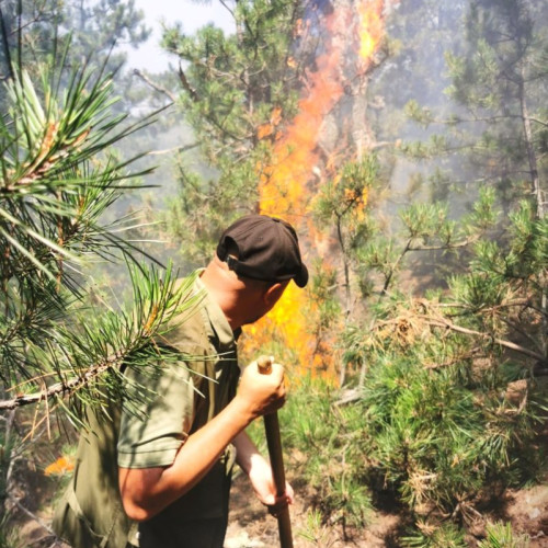 Creșterea incendiilor forestiere în Făgăraș din cauza temperaturilor ridicate