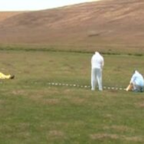 Descoperire macabră în Botoșani: un bărbat a fost ucis de o vacă