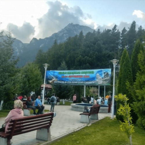 Urs semnalat în Bușteni în seara de vineri