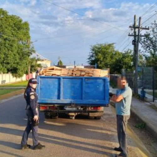 Sofer prins cu transport ilegal de lemne în urma unei acțiuni a poliției din Botoșani