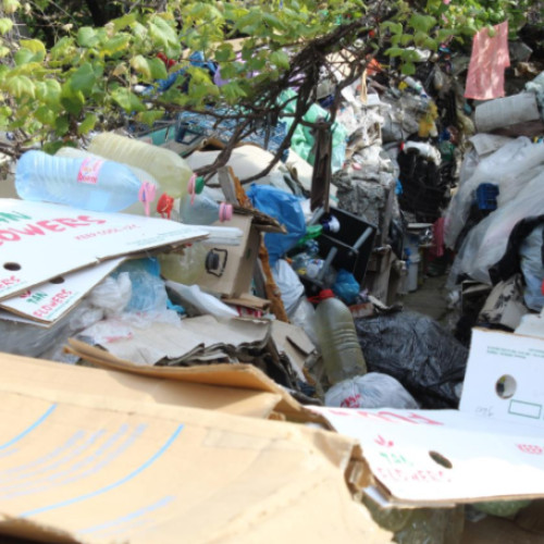 Acțiuni ale poliției locale pentru combaterea abandonării deșeurilor în Botoșani