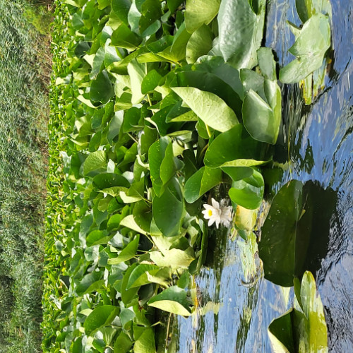 Excursie pe plaiuri dobrogene organizată de Asociația "Magister XXI"