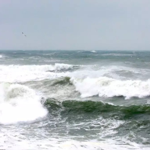 Averse torențiale așteptate în Dobrogea